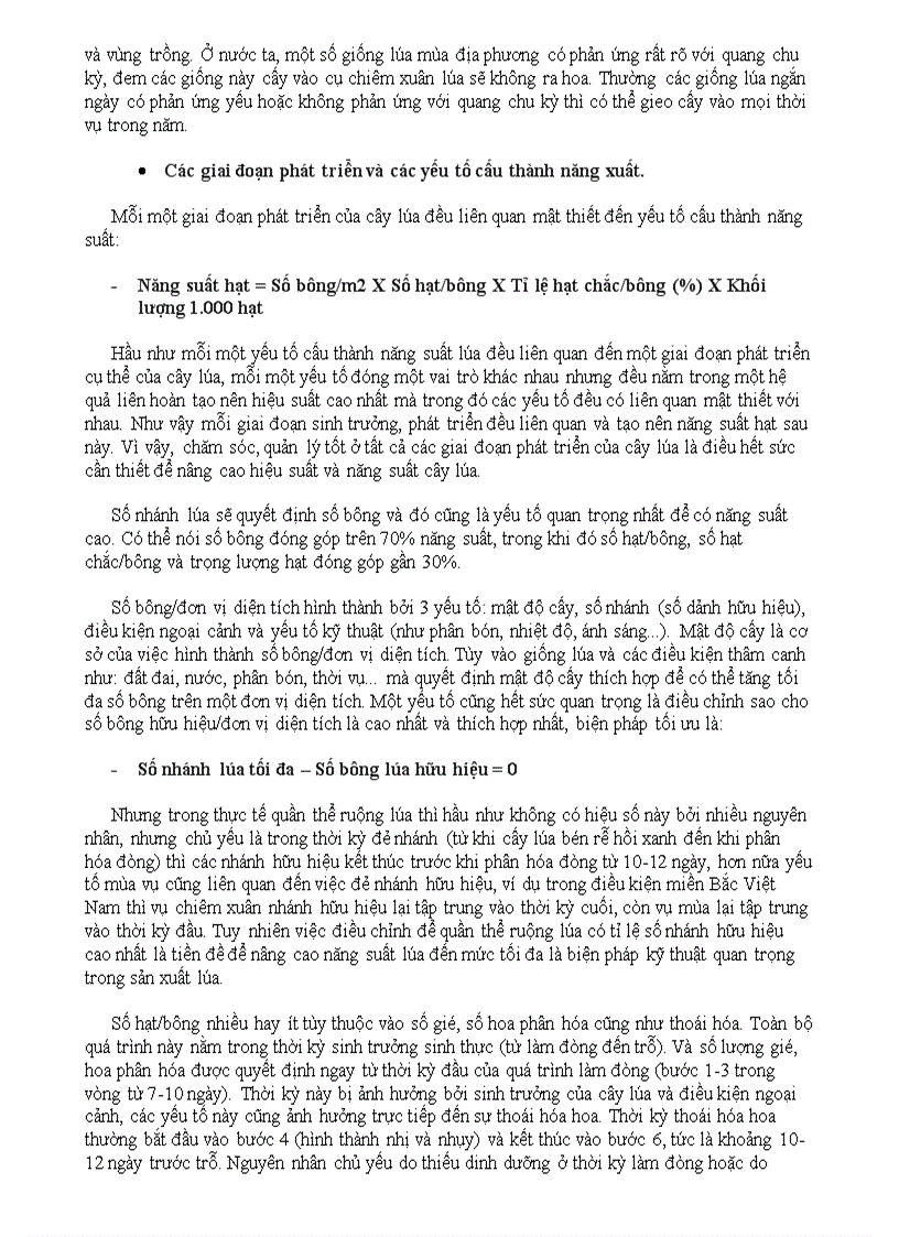 image for page Cây lúa