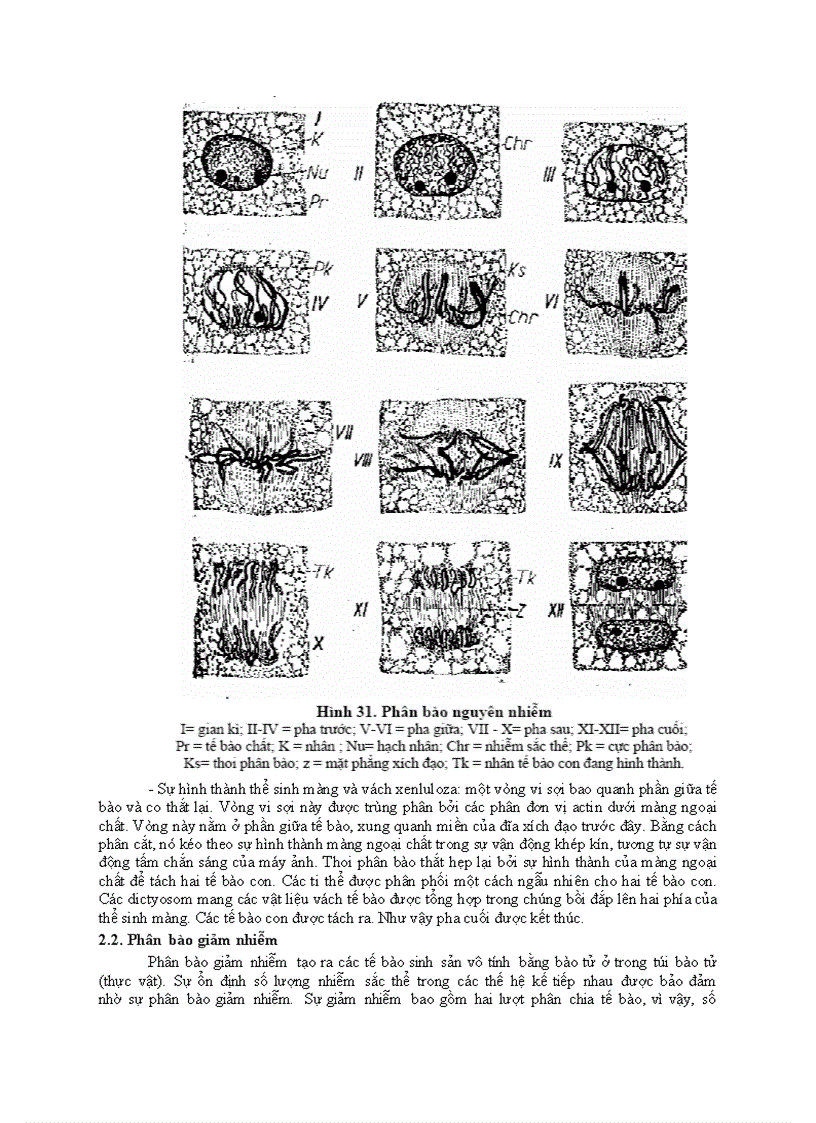 image for page Chương 1 te bao