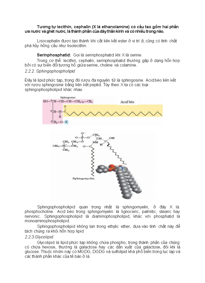 image for page CHƯƠNG II Lipid