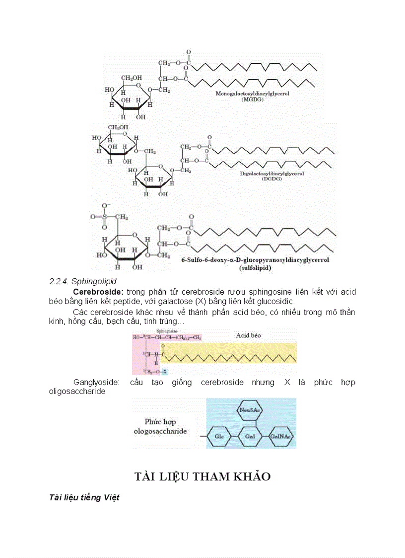 image for page CHƯƠNG II Lipid