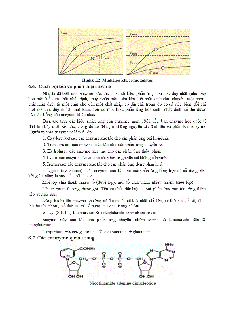 image for page CHƯƠNG VI Enzyme