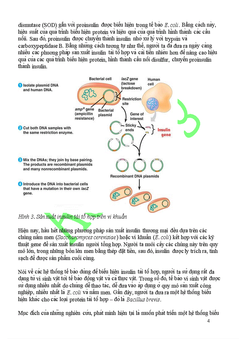 image for page Cong nghẹ san xuat ínulin