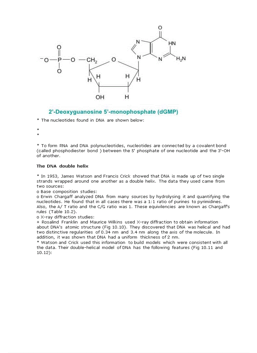 image for page ADN Replication