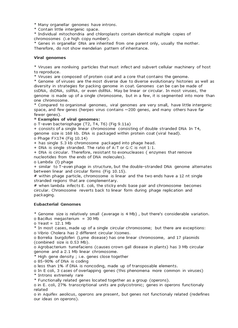 image for page ADN Replication