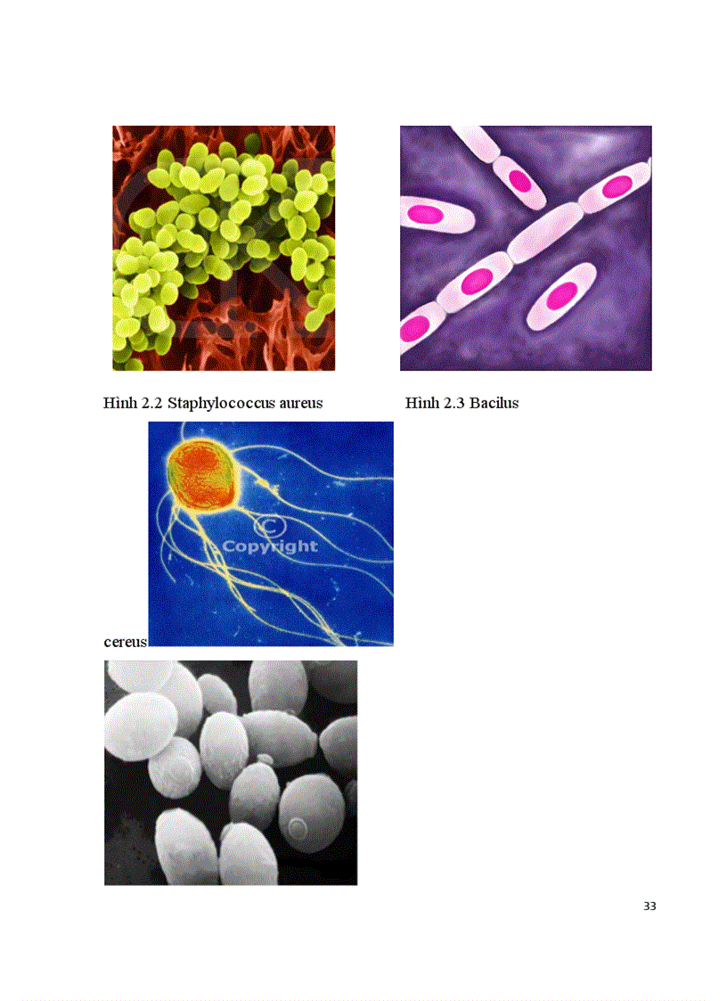 image for page An toan ve sinh thuc pham