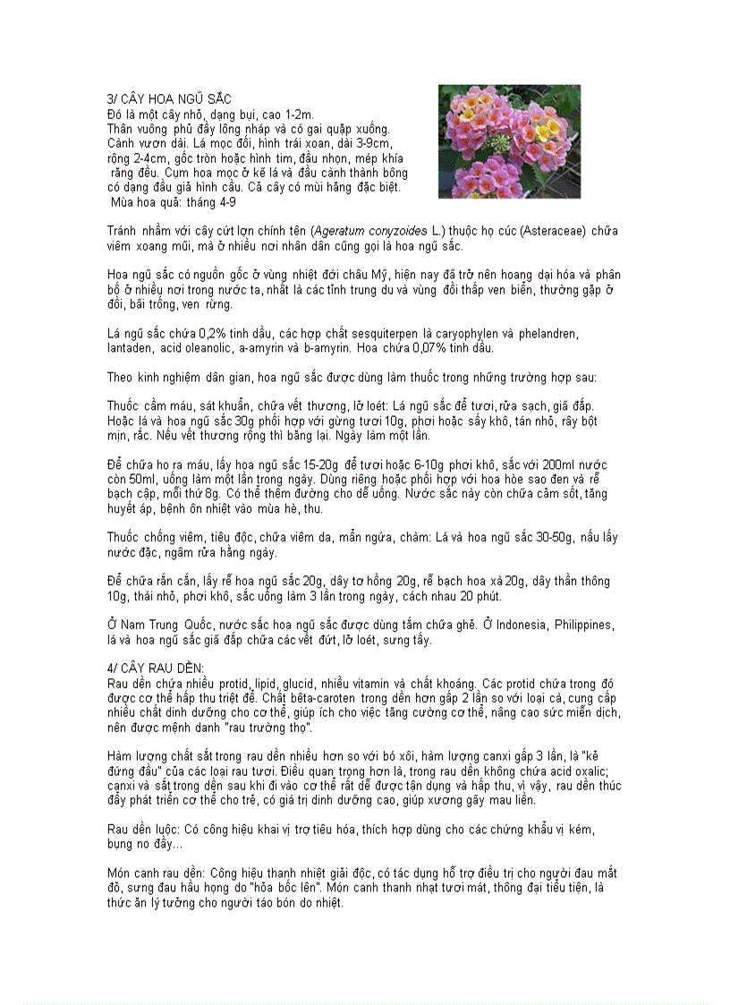 image for page Các vị thuốc quanh ta