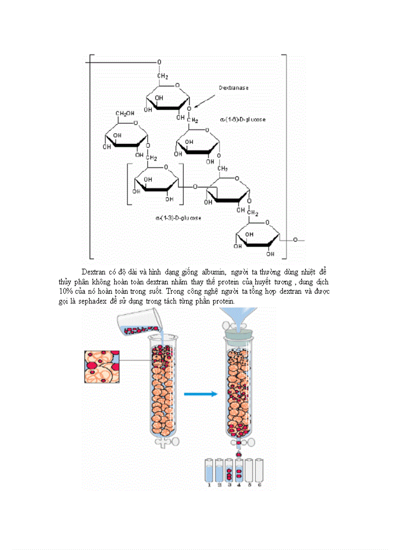 image for page Cacbohydrat