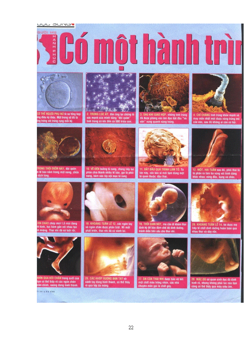image for page Cẩm nang hướng dẫn sinh con trai