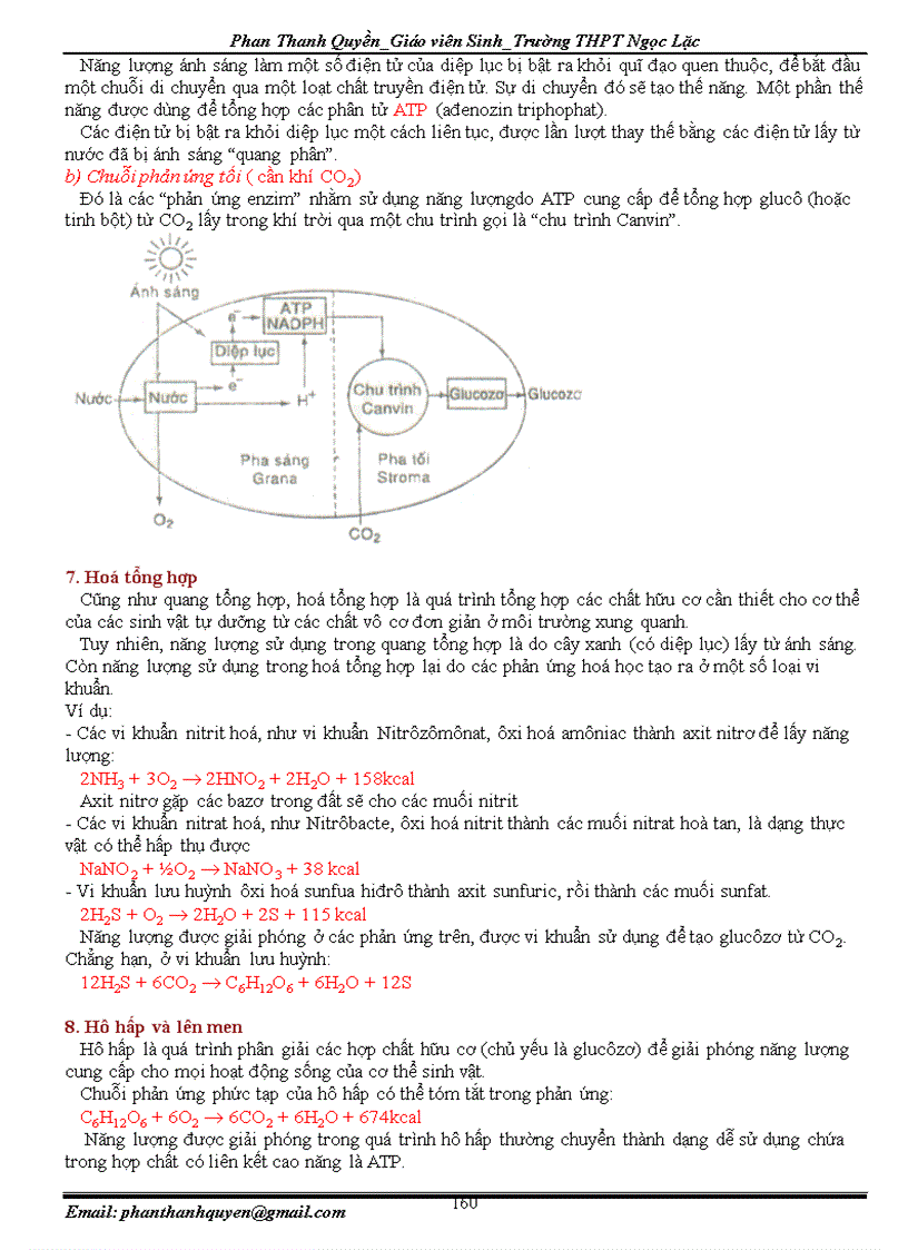 image for page Cẩm nang ôn thi TN ĐH CĐ môn Sinh học