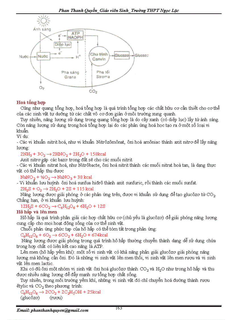 image for page Cẩm nang ôn thi TN ĐH CĐ môn Sinh học