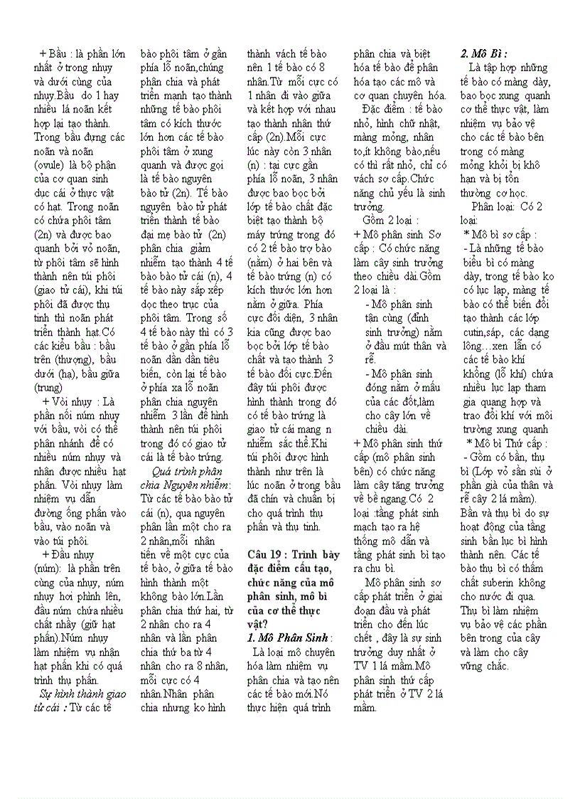 image for page Câu hỏi ôn tập môn sinh học