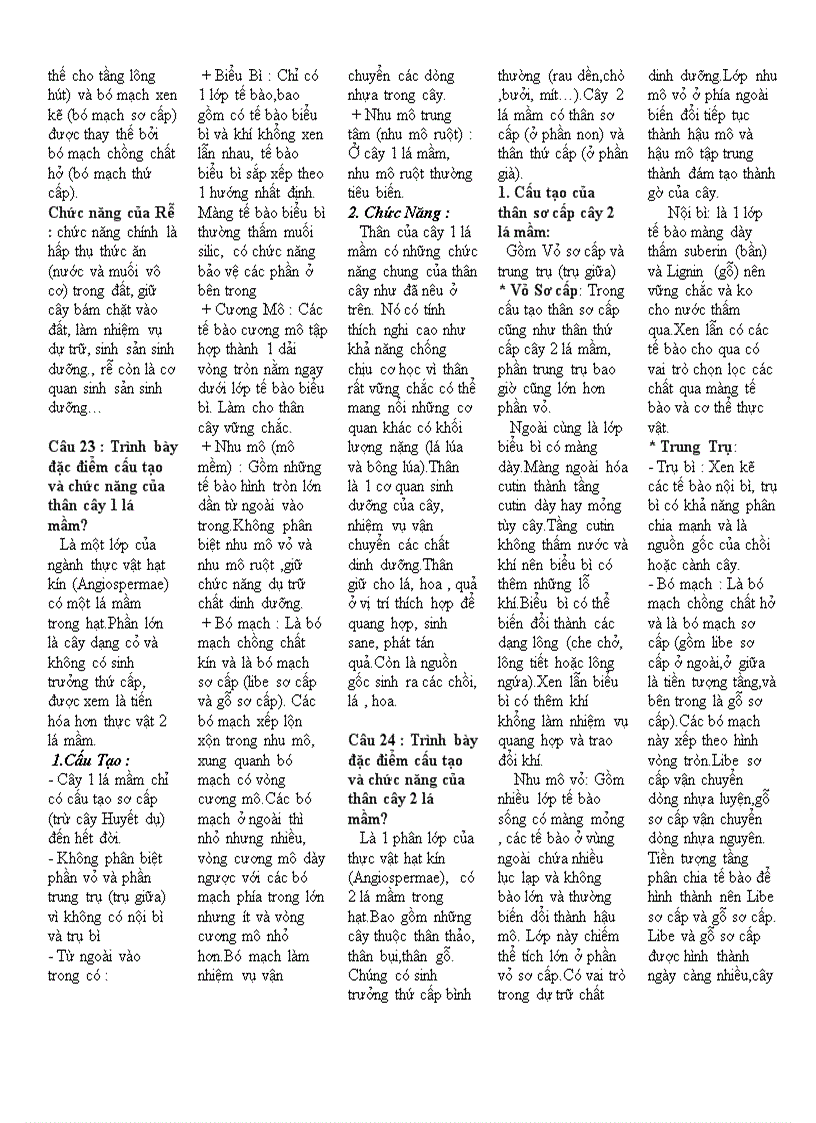 image for page Câu hỏi ôn tập môn sinh học