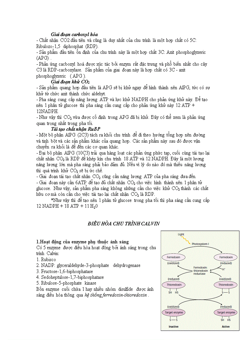 image for page Chu trinh calvin