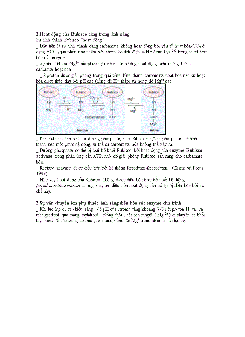 image for page Chu trinh calvin