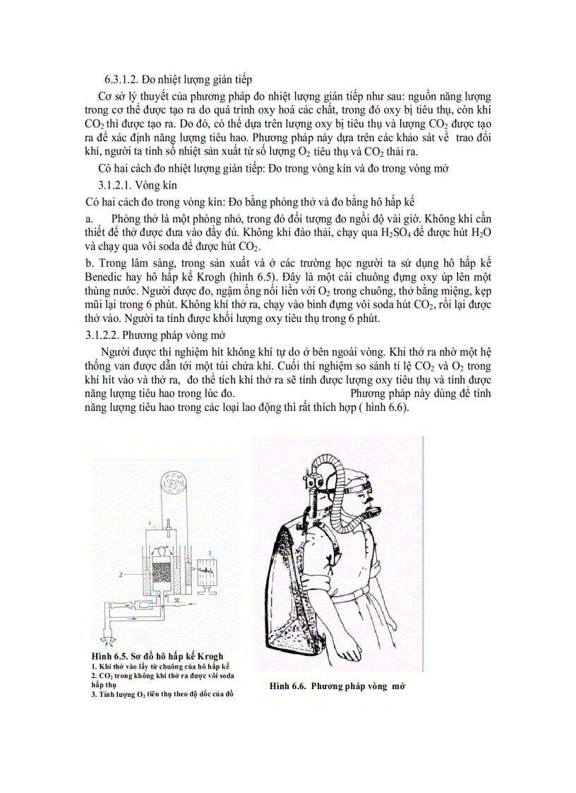 image for page Chuyển hóa vật chất và năng lượng điều hòa thân nhiệt