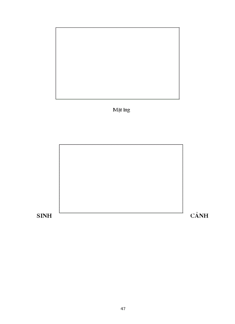 image for page Đề tài nghiên cứu chuột ở thị xã Sơn La