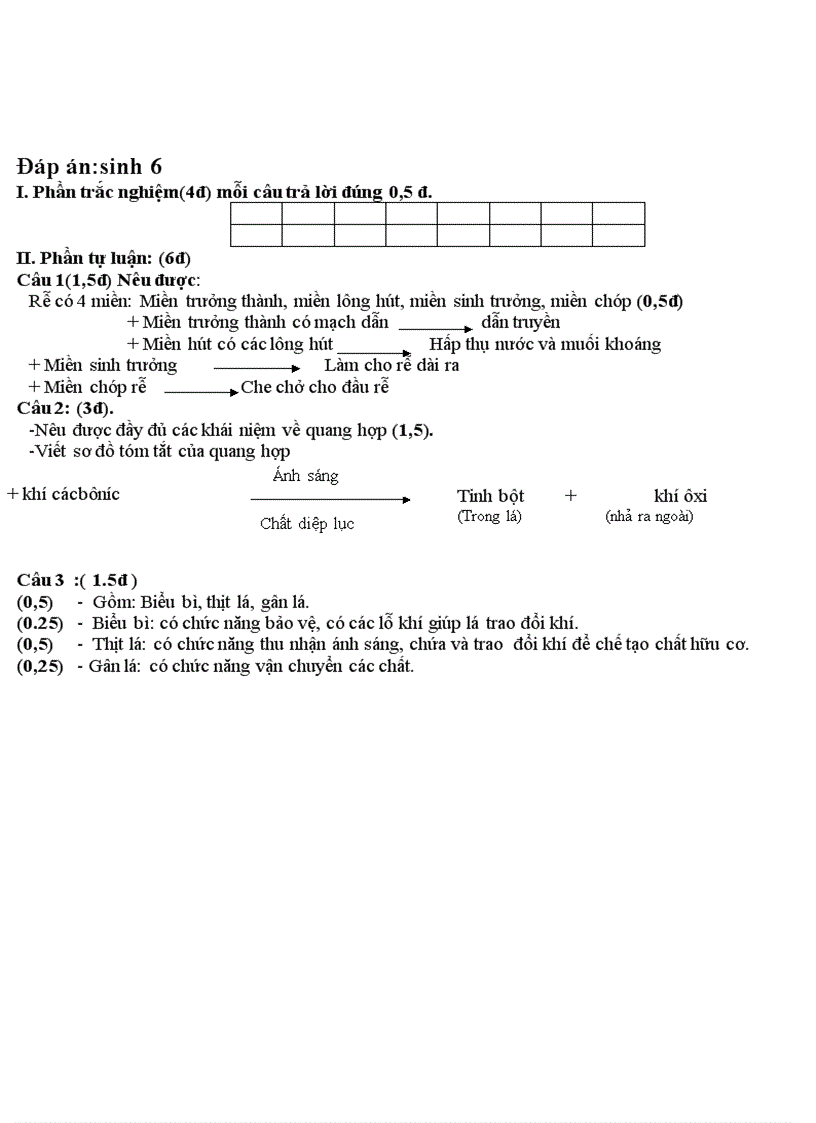 image for page Đề thi Đáp án thi HKI 2008 Khối 6 7 8 9