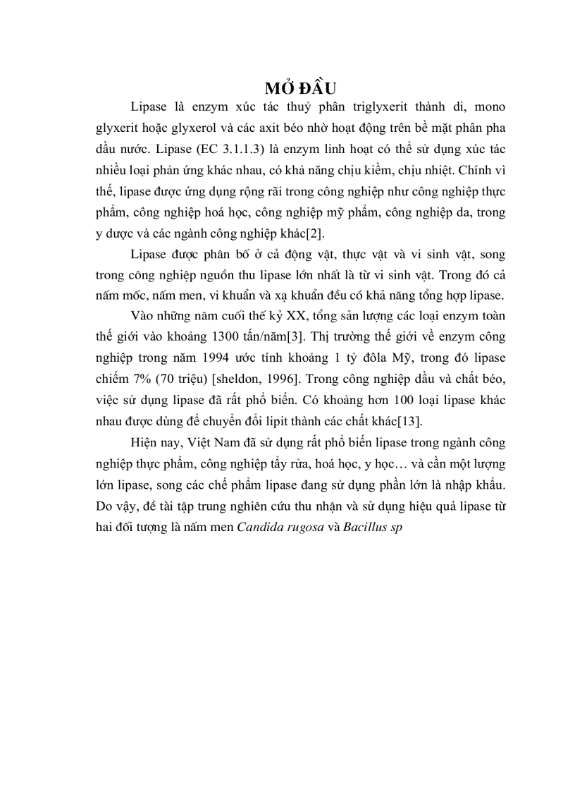 image for page Enzyme Lipase