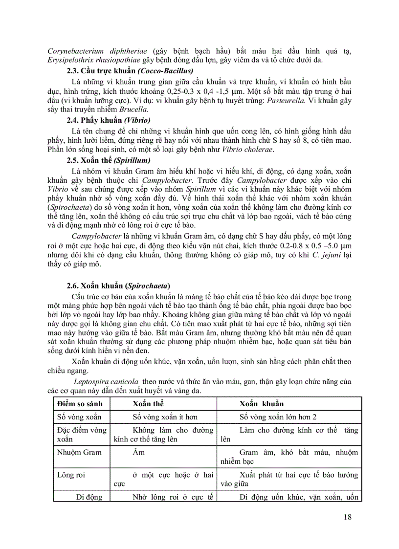 image for page Giáo trình vi sinh vật đại cương