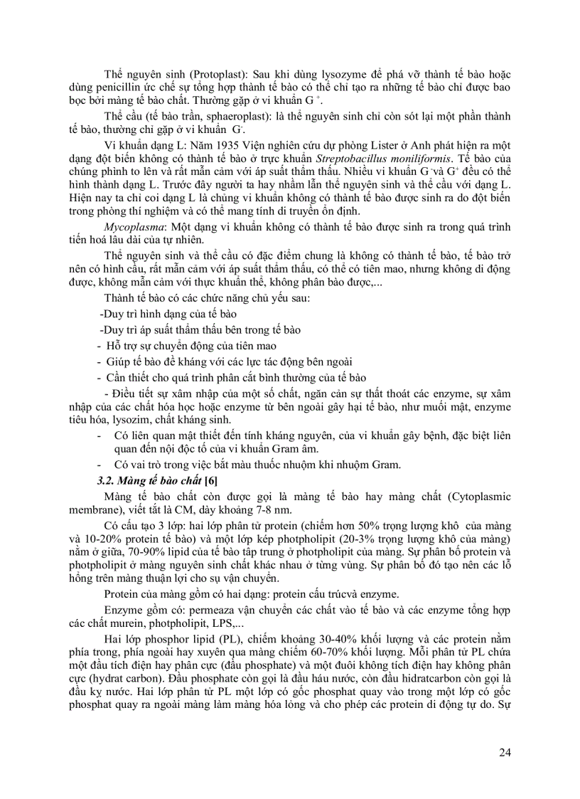 image for page Giáo trình vi sinh vật đại cương