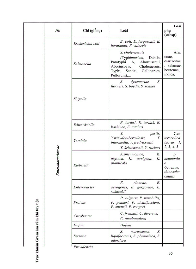 image for page Giáo trình vi sinh vật đại cương