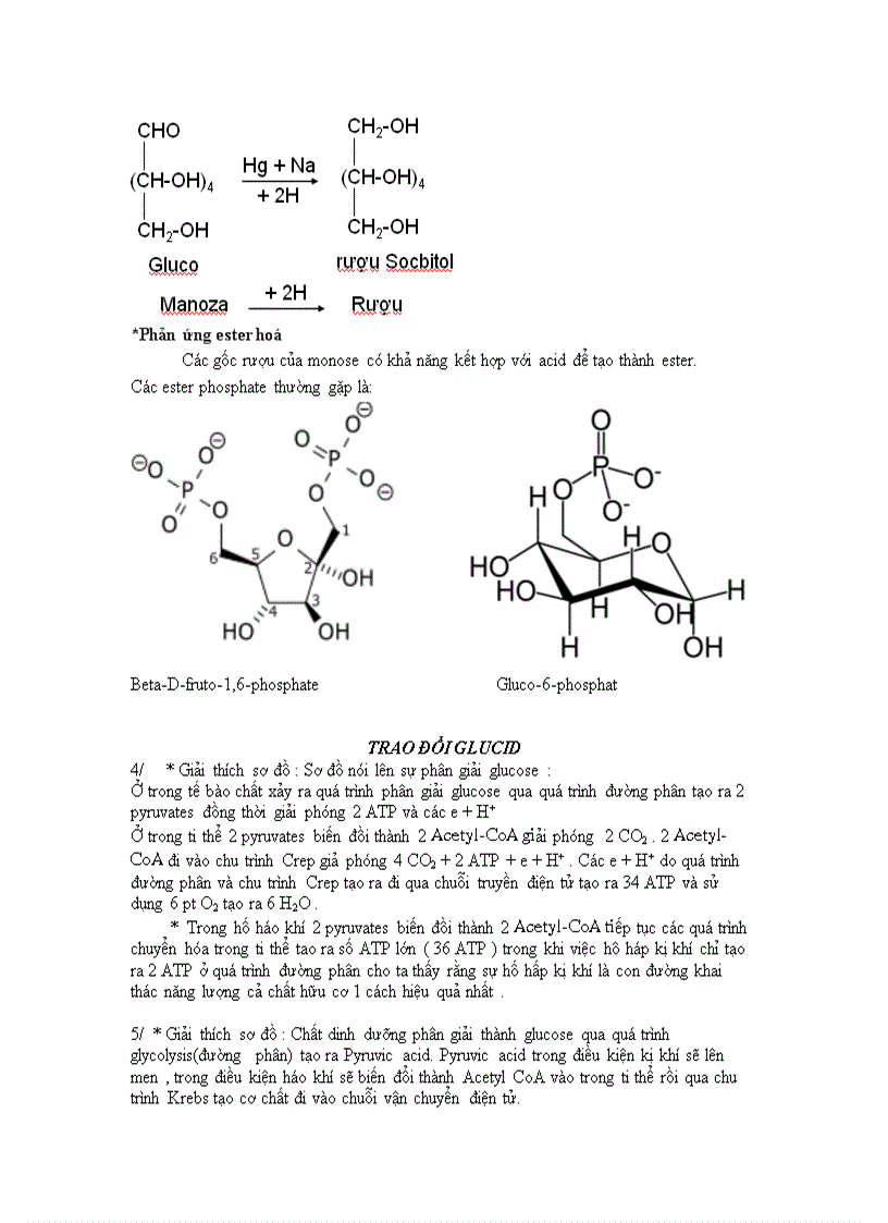 image for page Gluxit