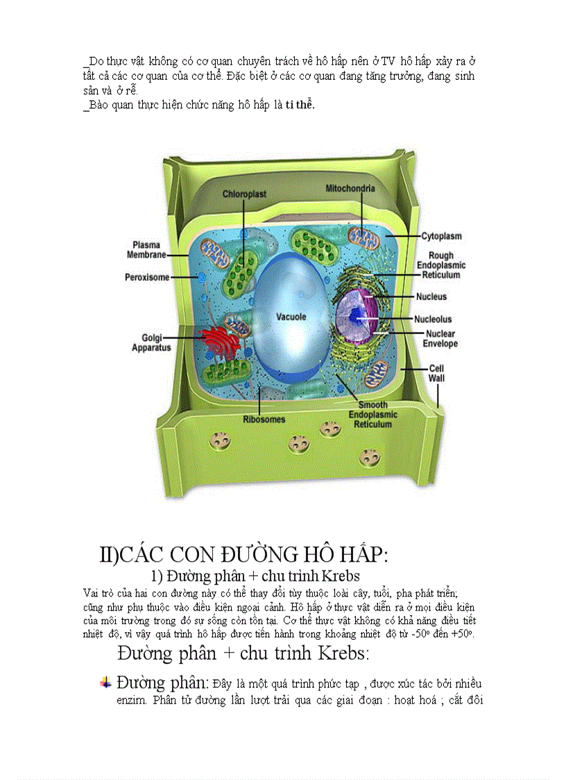 image for page Ho hap thuc vat