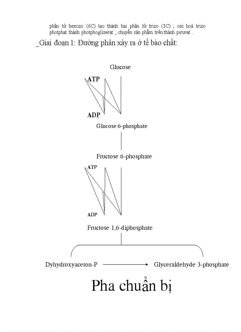image for page Ho hap thuc vat