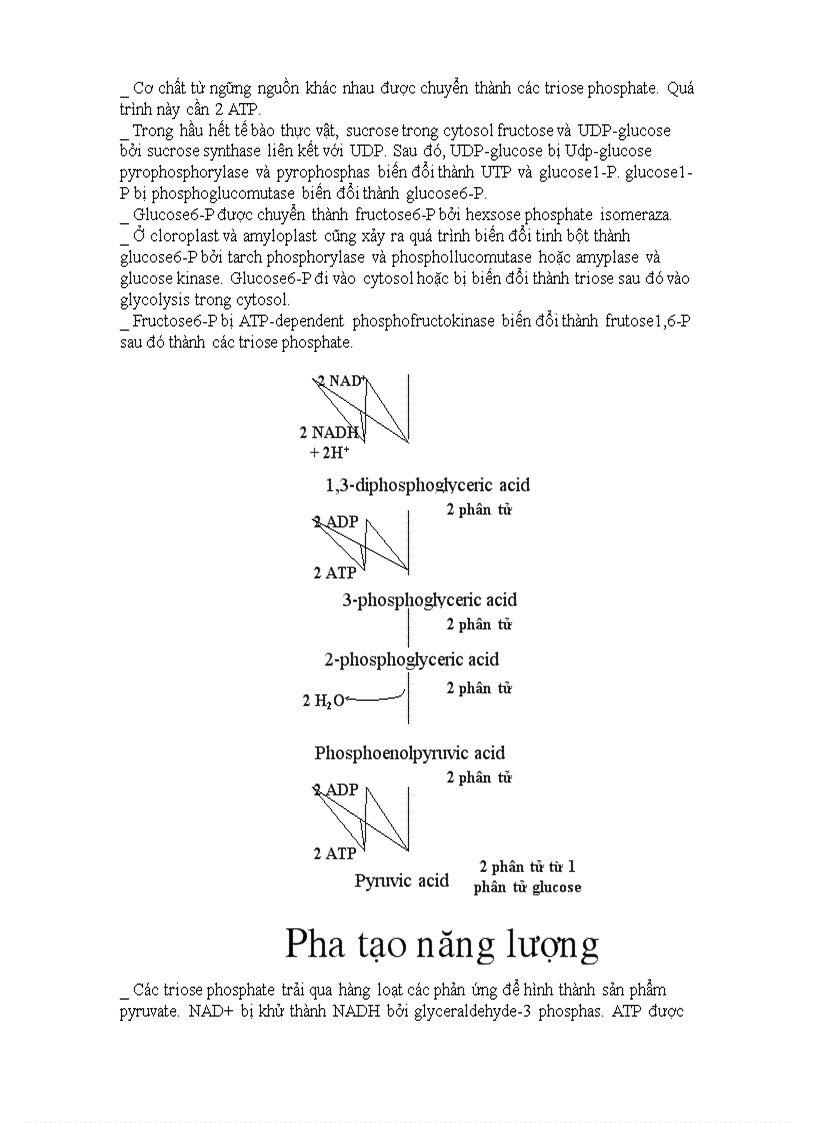 image for page Ho hap thuc vat