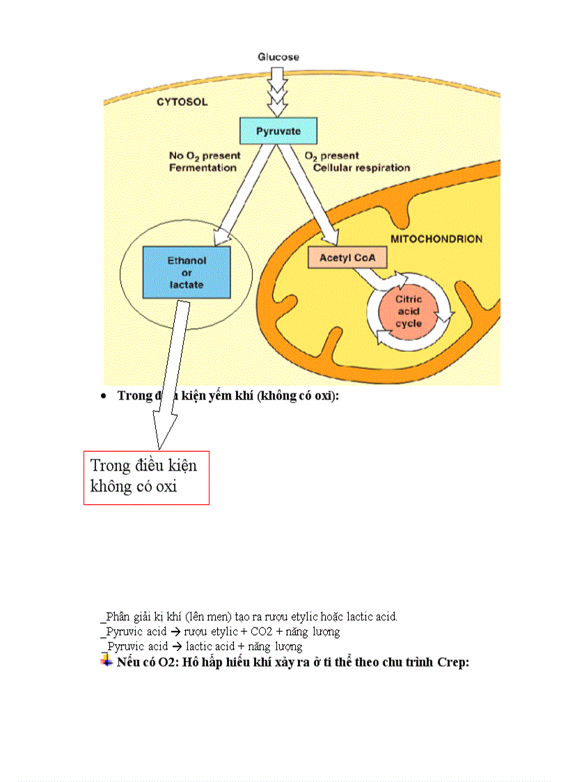 image for page Ho hap thuc vat
