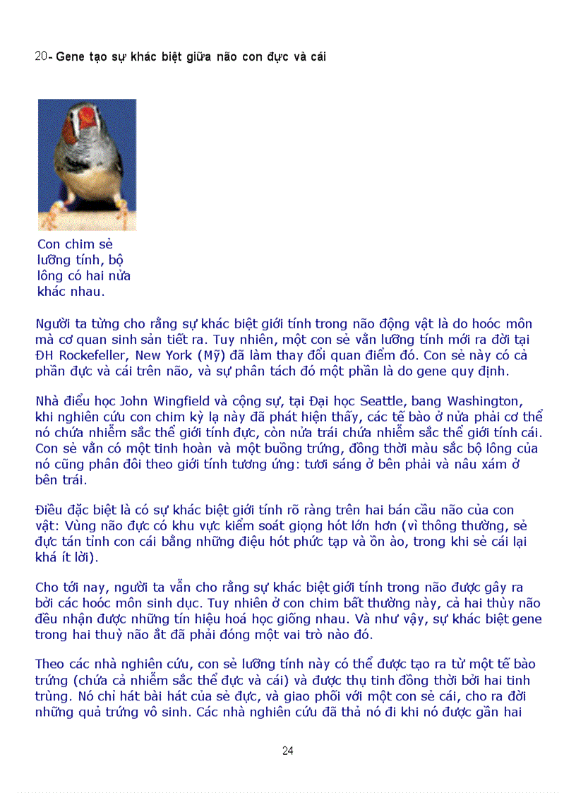 image for page Kham pha ve gen