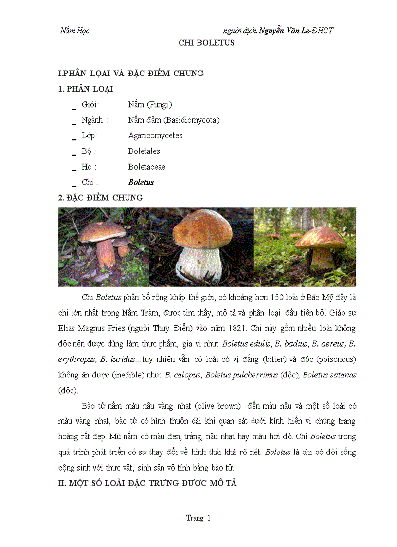 image for page Nấm học