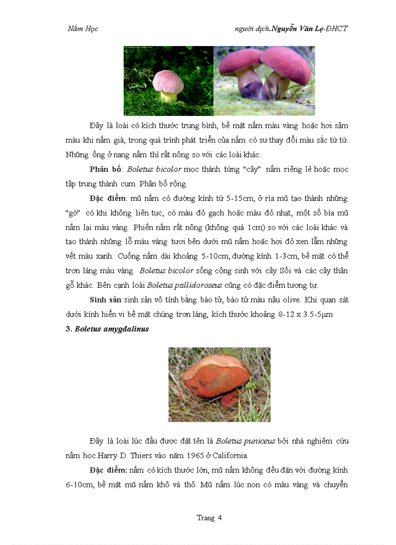 image for page Nấm học