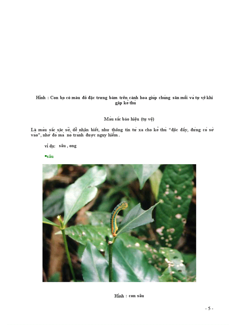 image for page Nguy trang