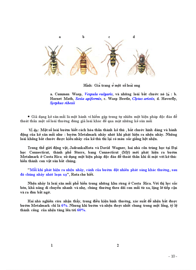 image for page Nguy trang