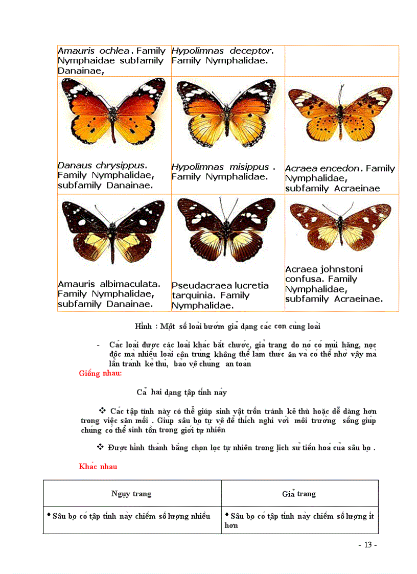 image for page Nguy trang