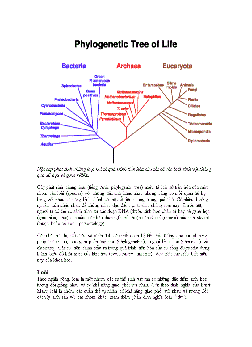 image for page Nguyên lí di truyền học