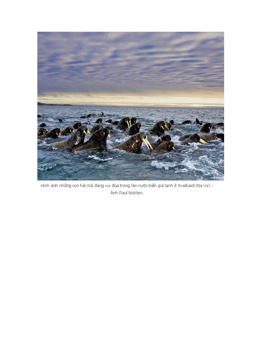 image for page Những bức ảnh thiên nhiên đẹp nhất tháng 11