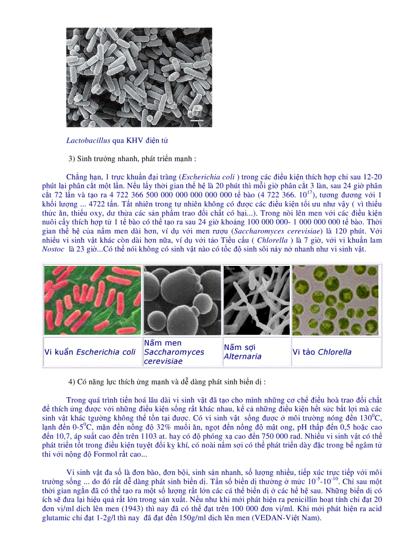 image for page Nhung dac diem chung cua vi sinh vat rat hay pdf