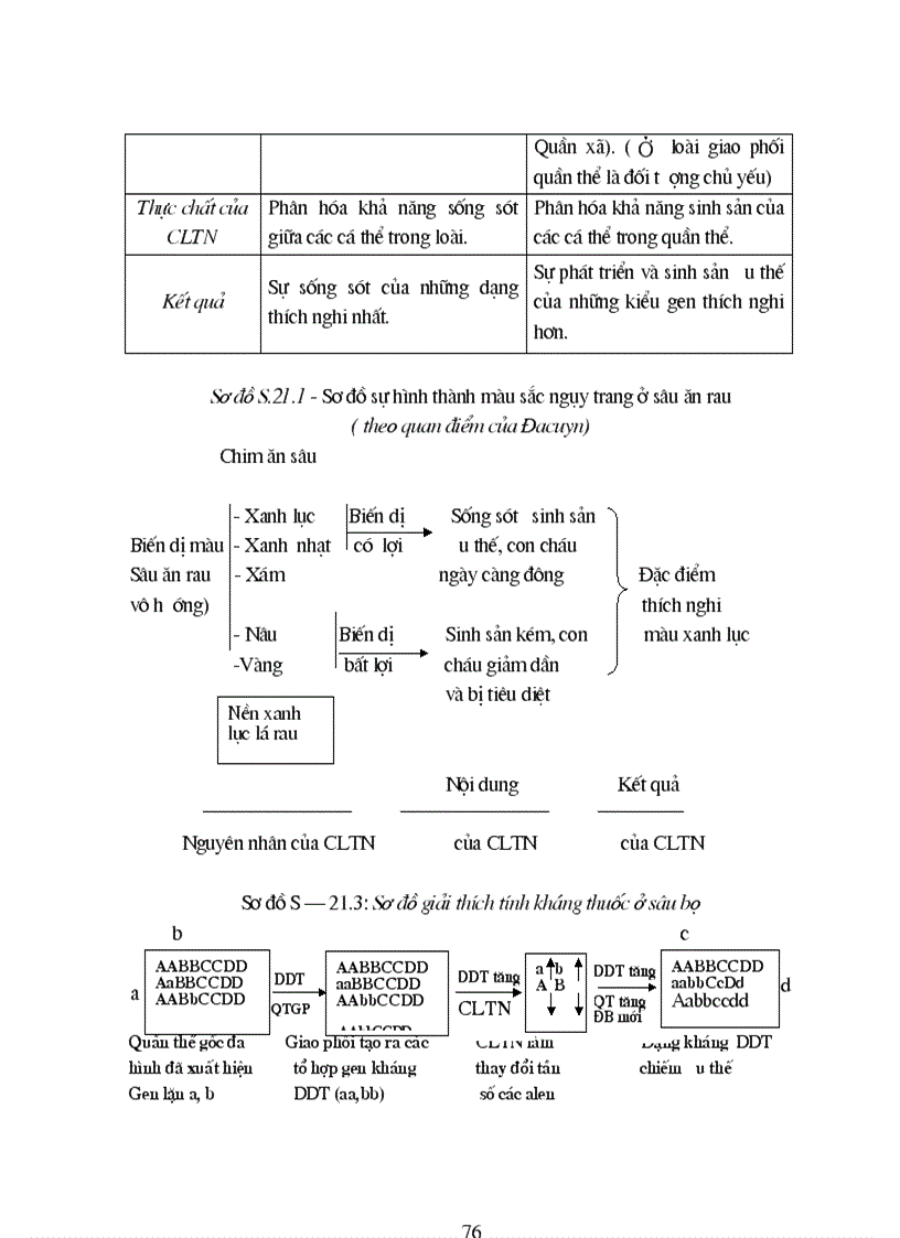 image for page Phuong phap day hoc sinh hoc Phan tien hoa lop 12