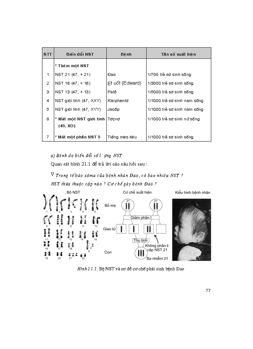 SGK 12 thí điểm Thầy Lanh