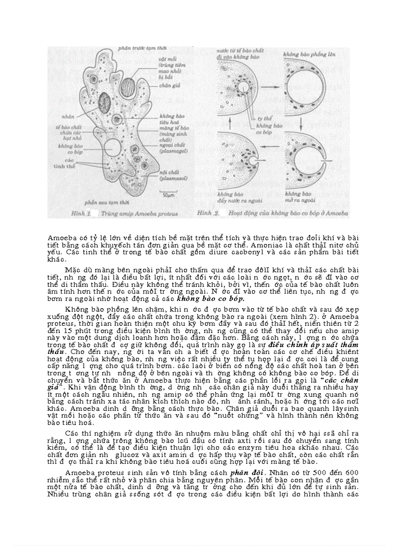 image for page Sinh đại cương