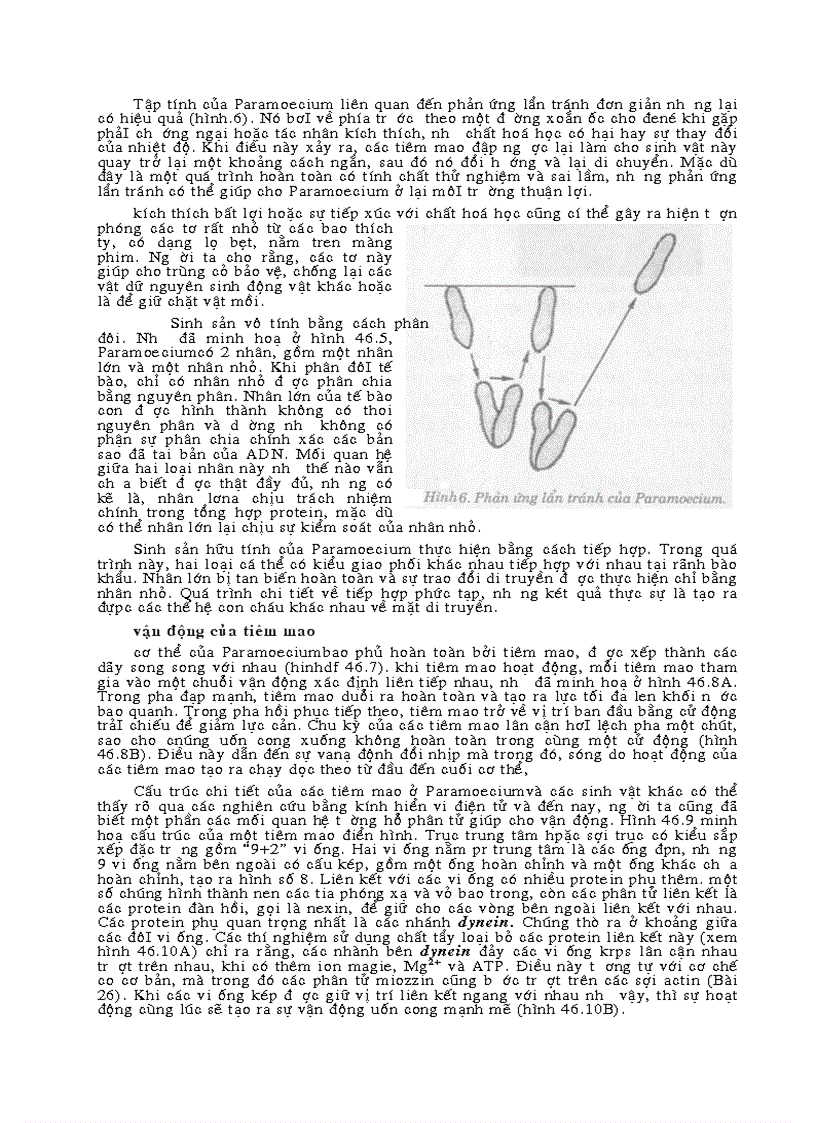 image for page Sinh đại cương