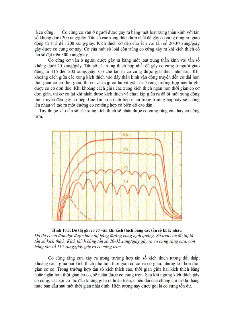 image for page Sinh lí cơ và dây thần kinh