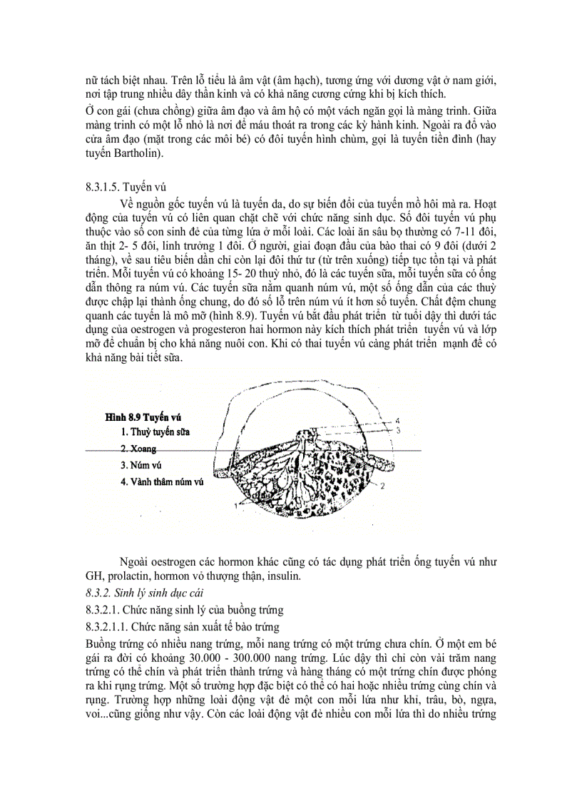 image for page Sinh lí sinh dục và sinh sản