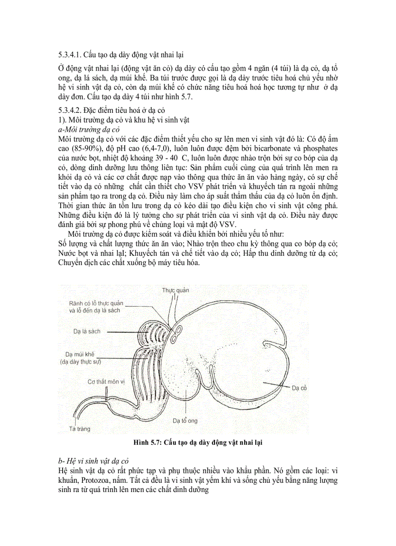 image for page Sinh lí tieu hóa