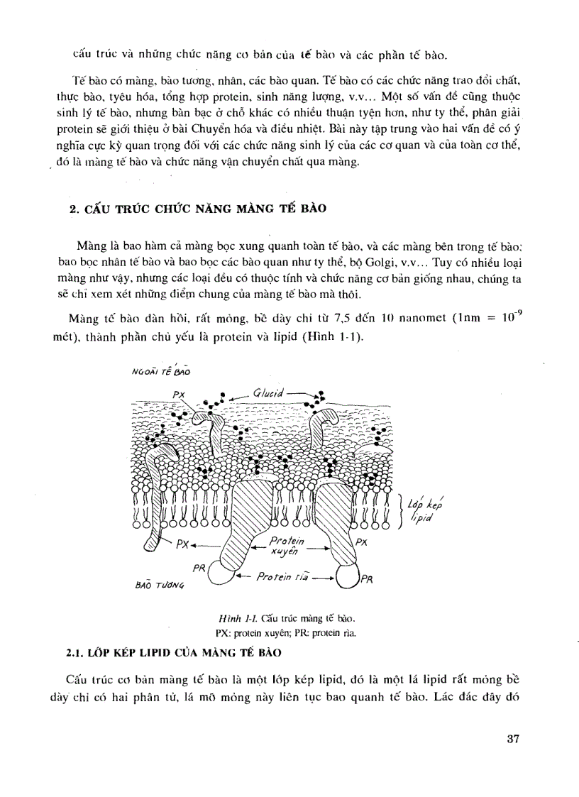 image for page Sinh lý học Tập 1 1