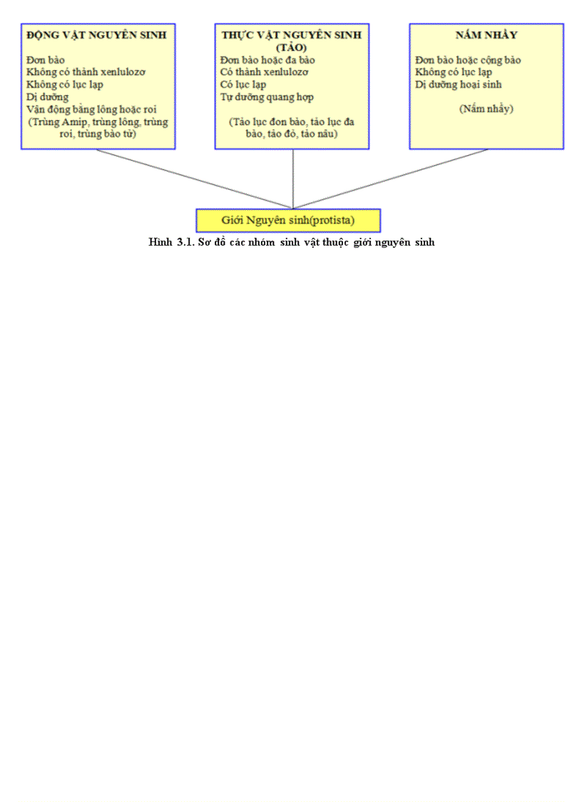 image for page So do cac nhom vi sinh vat thuoc gioi nguyen sinh