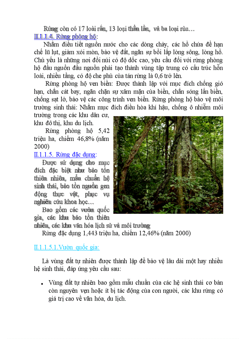 image for page Tài nguyên rừng bản word