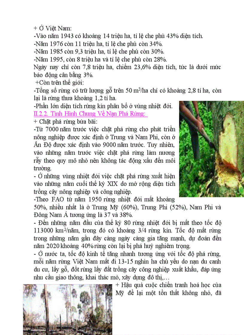 image for page Tài nguyên rừng bản word